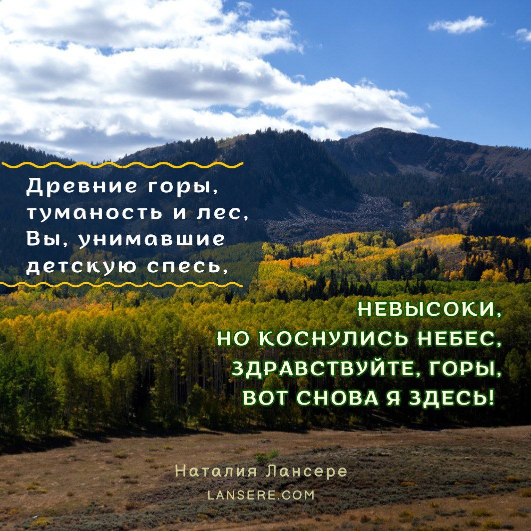 Древние горы, туманость и лес