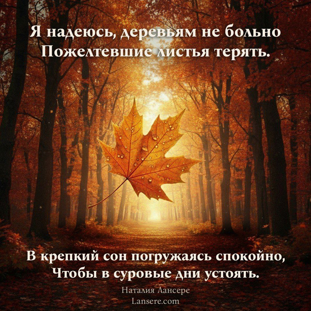 Я надеюсь, деревьям не больно